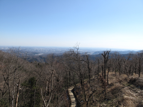 20160226hike (127)